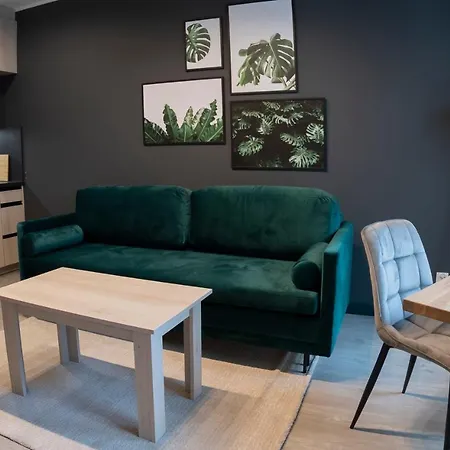 Trim Kolor Apartament *